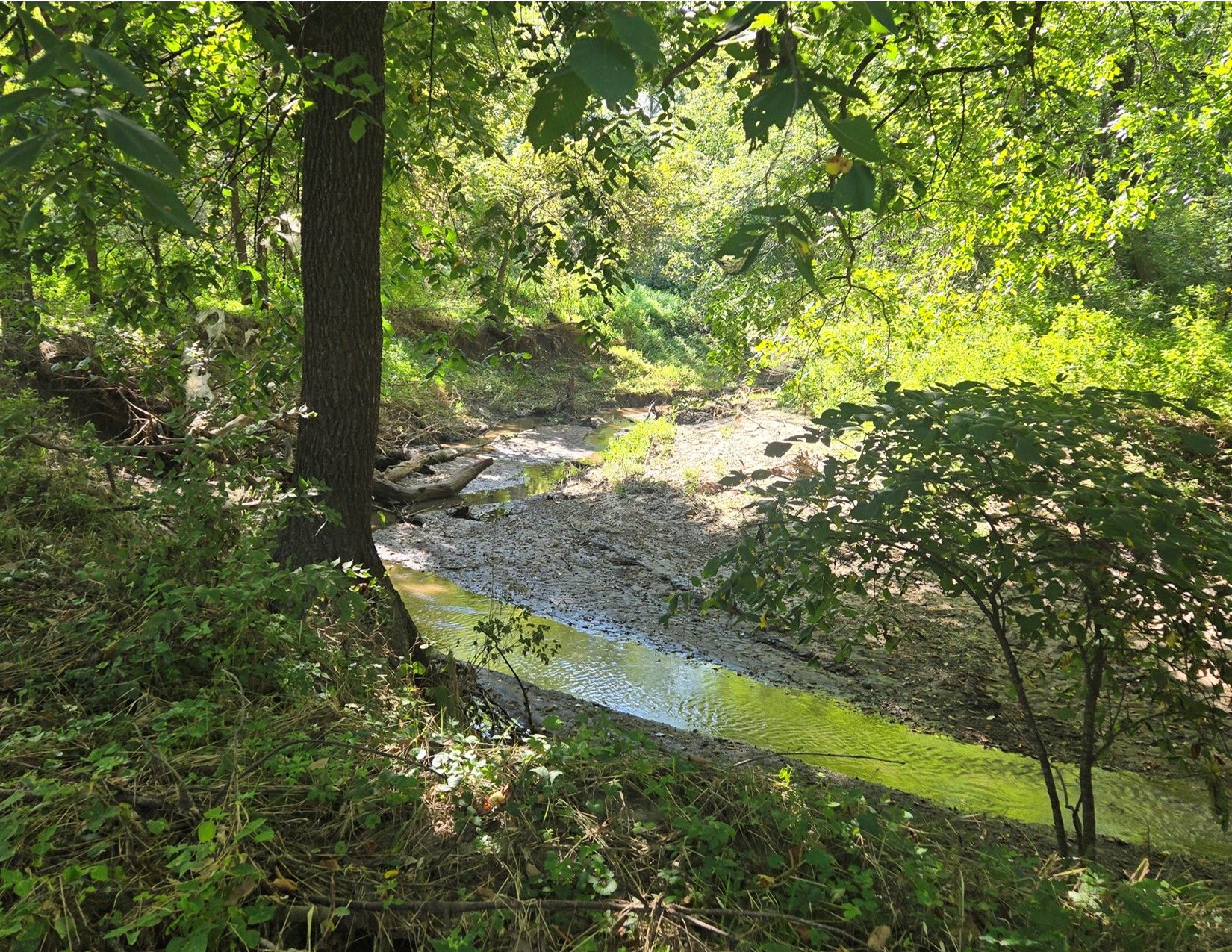 Listing Photo: 1066 Co Rd S56, Wayne County, Iowa